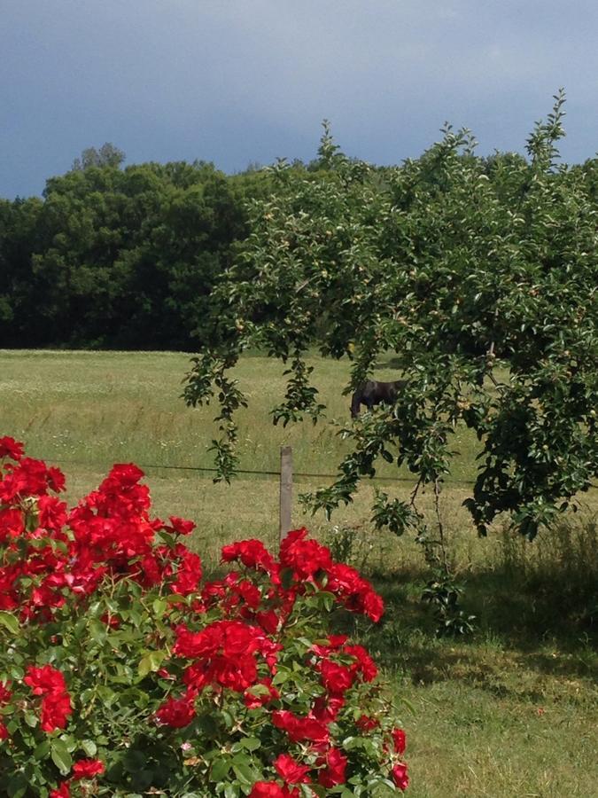Gites De La Croix Du Gres (Adults Only) Valaurie Экстерьер фото